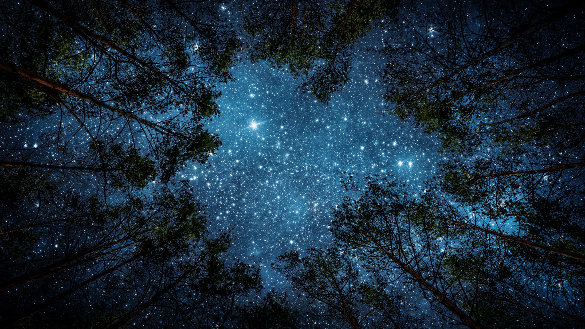 AI and the Law: Navigating Legal Risks in Content Creation.