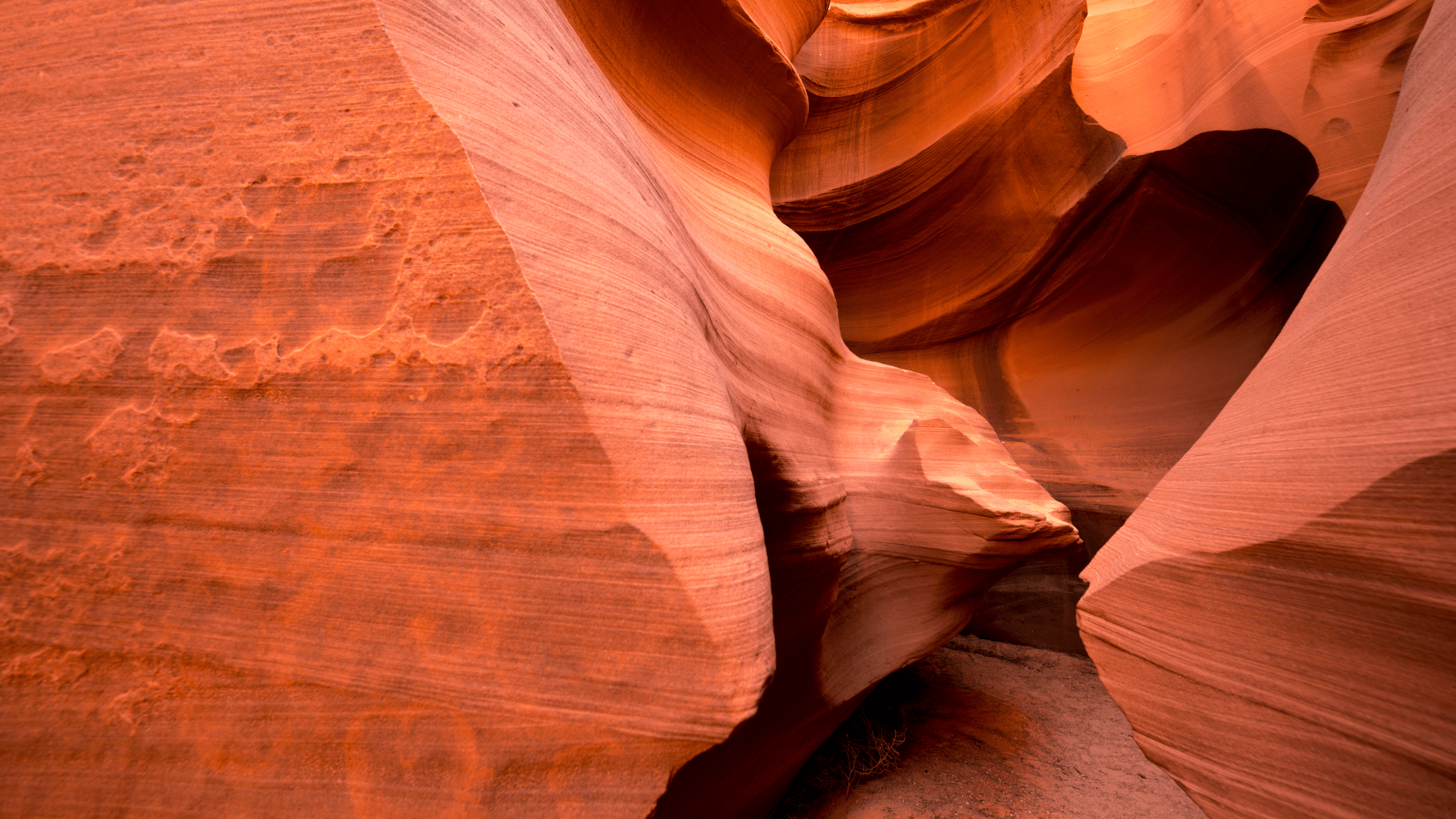 Top 8 Guidelines for Effective Technical Business Writing.