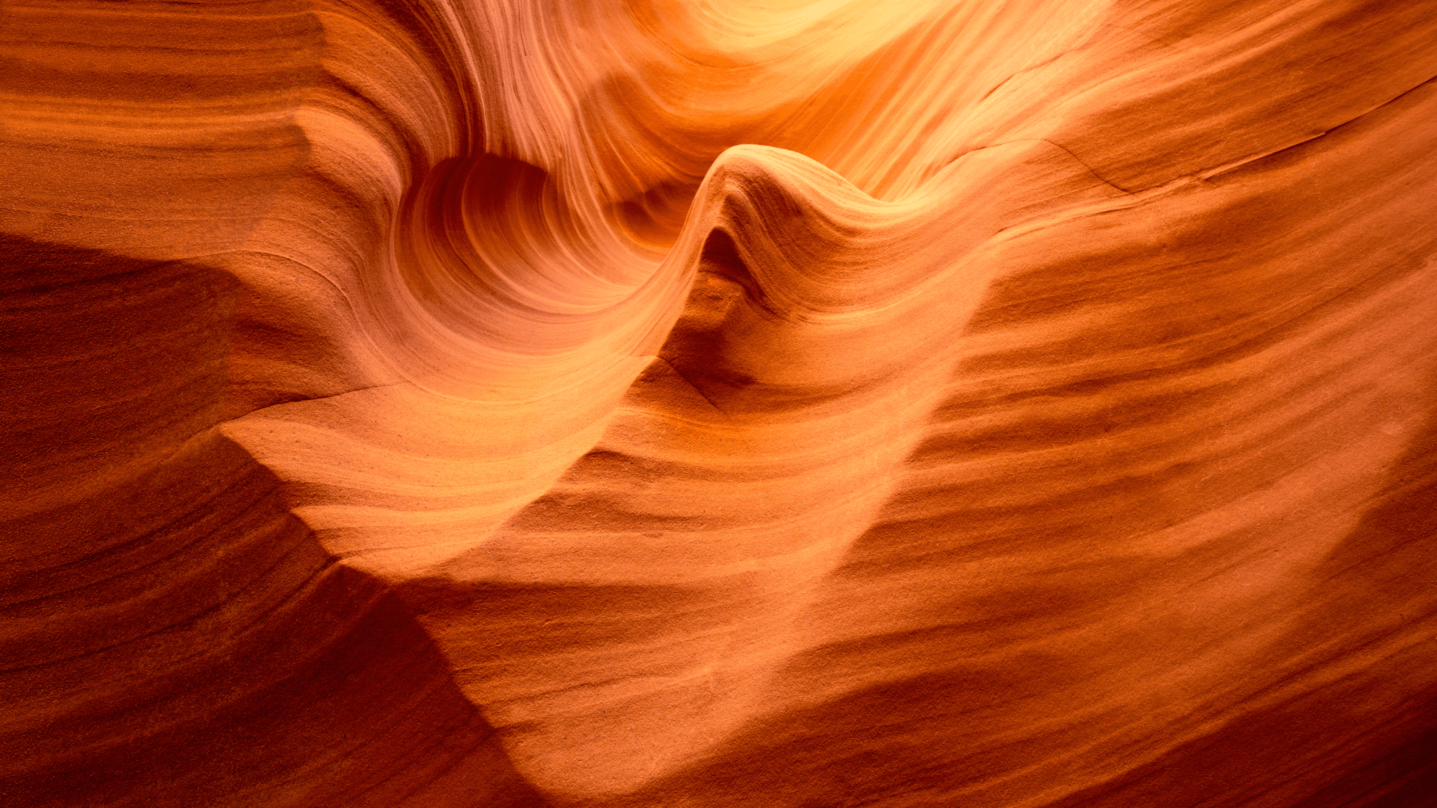 Regulatory Compliance for AI.