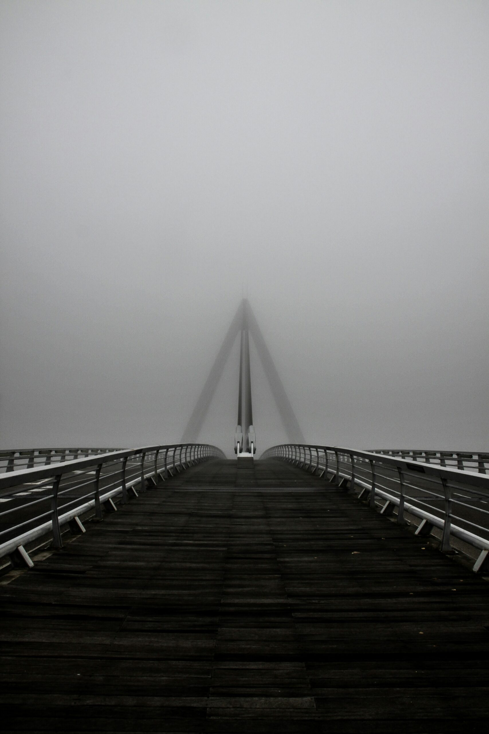 Clear visibility across usage analytics.